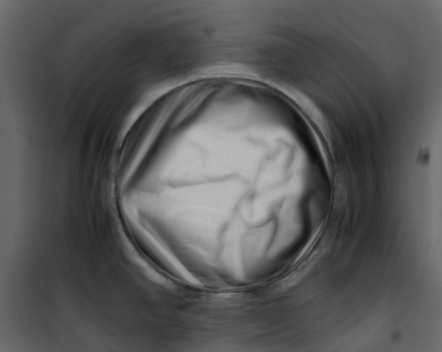 X0000101101390200807171901