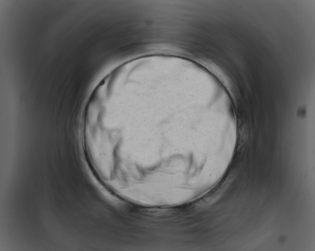 X0000101101391200807171901