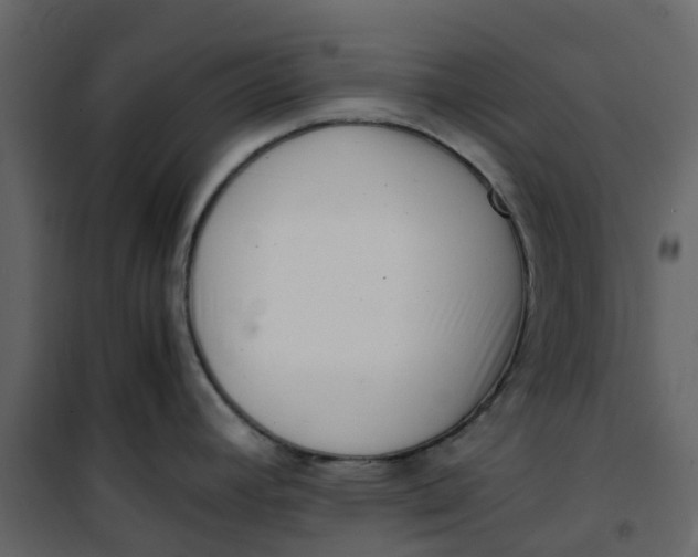 X0000101101392200807171901