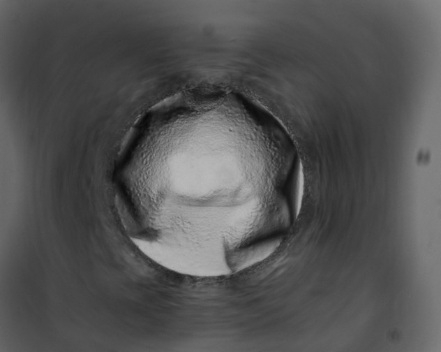 X0000101101393200807171901