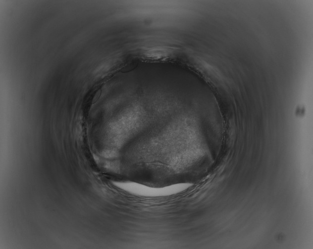 X0000101101394200807171901