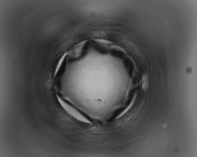 X0000101101395200807171901