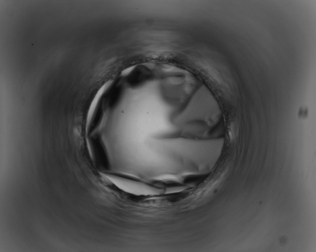 X0000101101396200807171901