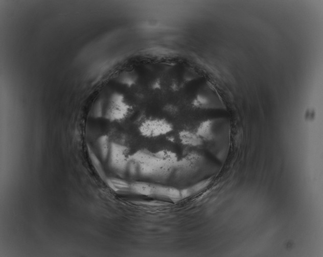 X0000101101397200807171901