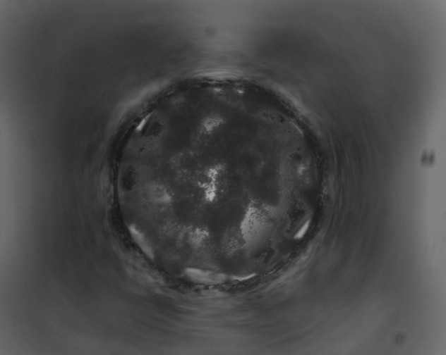 X0000101101398200807171901