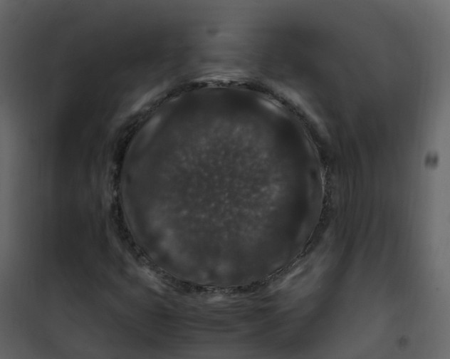 X0000101101399200807171901