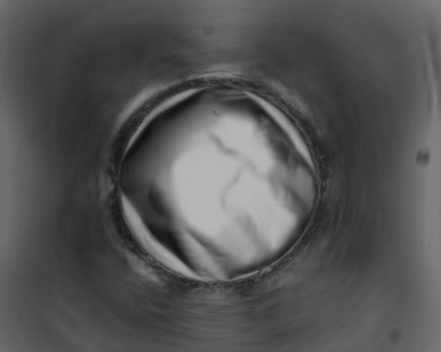 X0000101101400200807171901