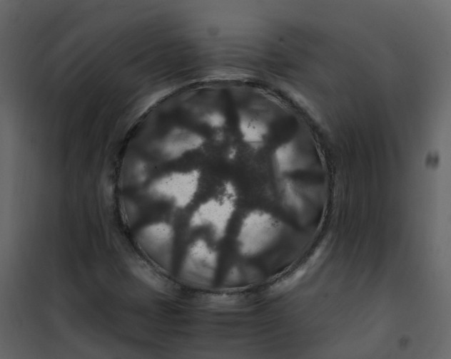 X0000101101401200807171901