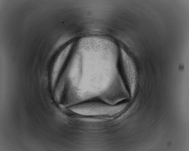 X0000101101402200807171901