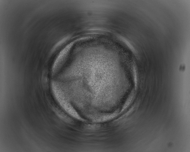 X0000101101403200807171901