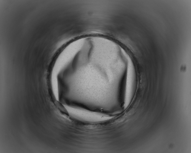 X0000101101404200807171901