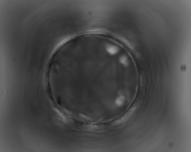 X0000101101405200807171901