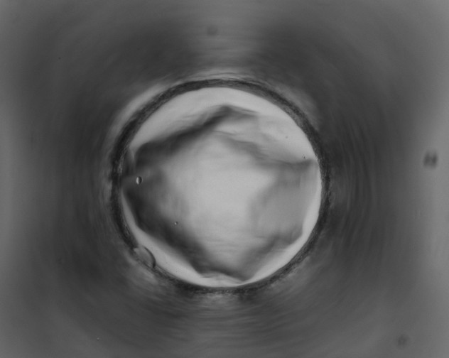 X0000101101406200807171901