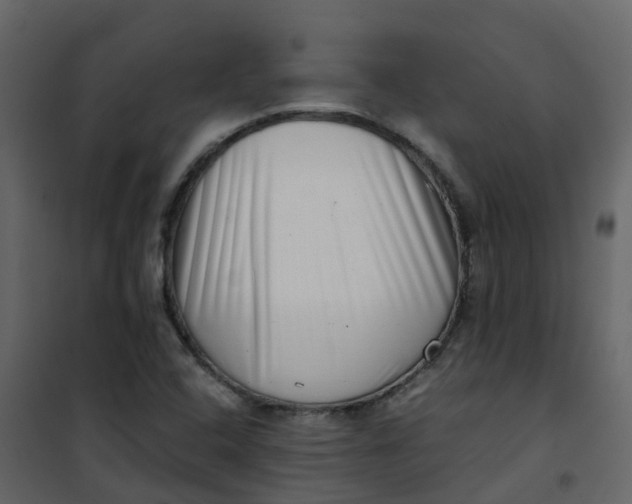 X0000101101408200807171901