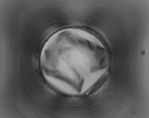 X0000101101409200807171901