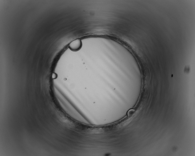 X0000101101410200807171901