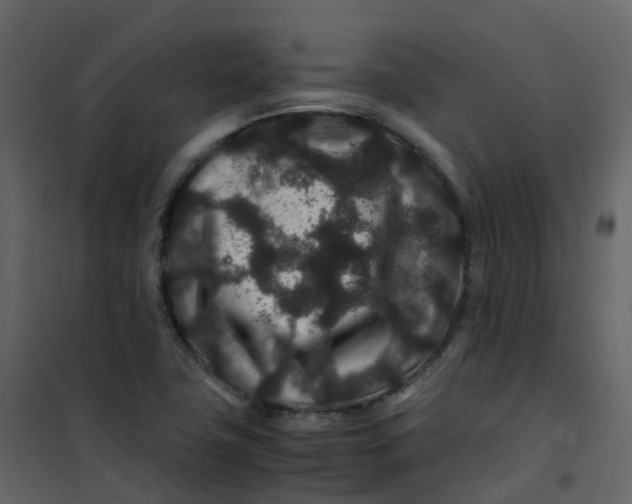 X0000101101411200807171901