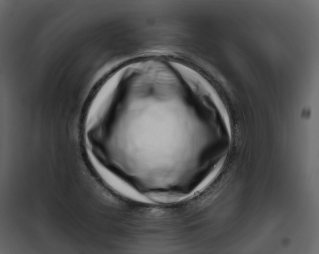 X0000101101412200807171901