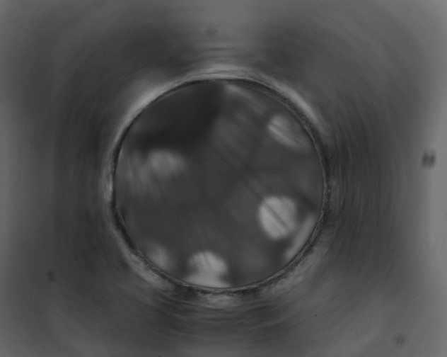 X0000101101413200807171901