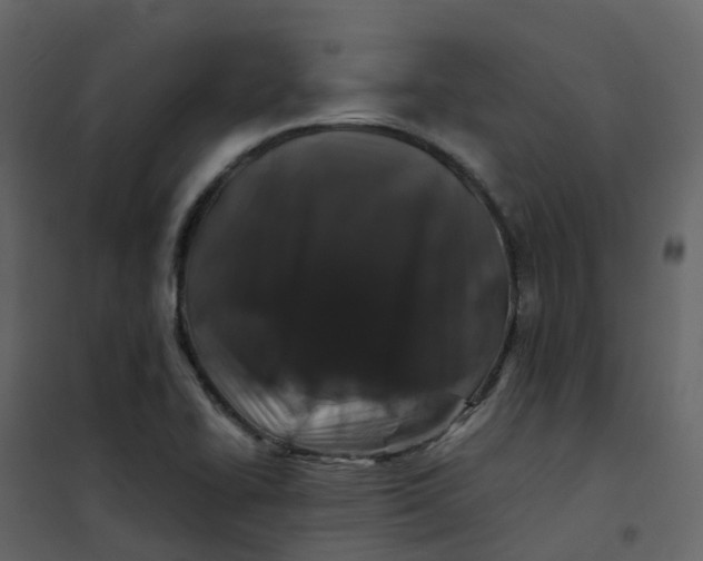 X0000101101414200807171901