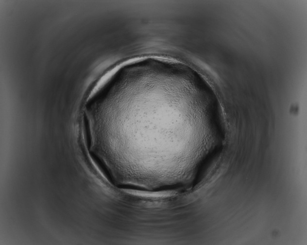 X0000101101415200807171901