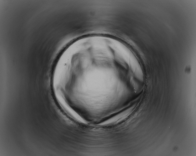 X0000101101416200807171901