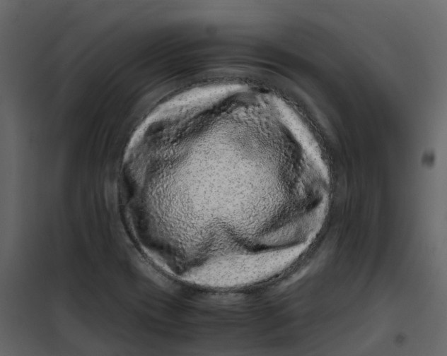 X0000101101417200807171901