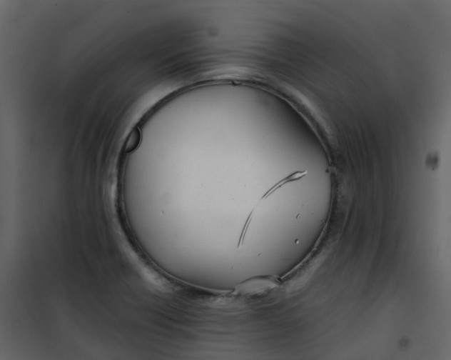 X0000101101418200807171901