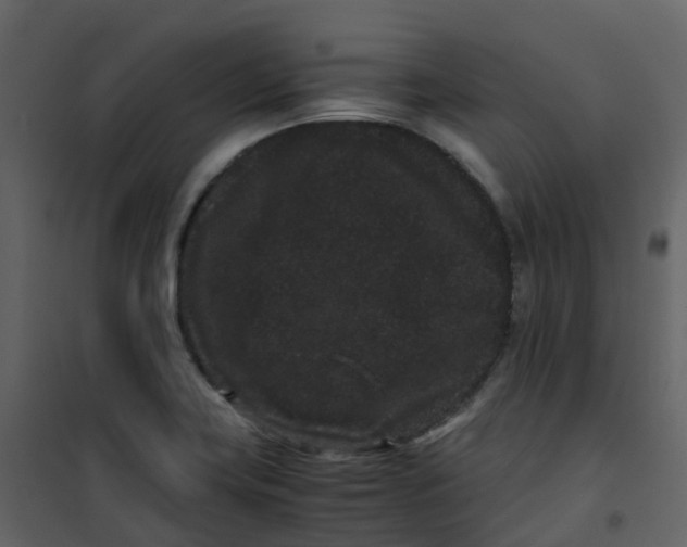 X0000101101419200807171901