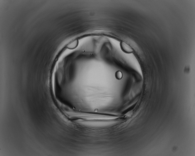 X0000101101420200807171901