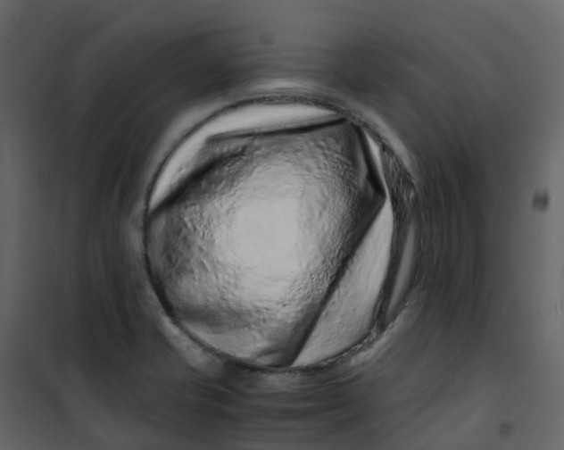 X0000101101421200807171901