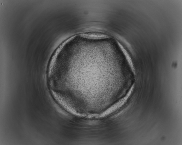 X0000101101423200807171901