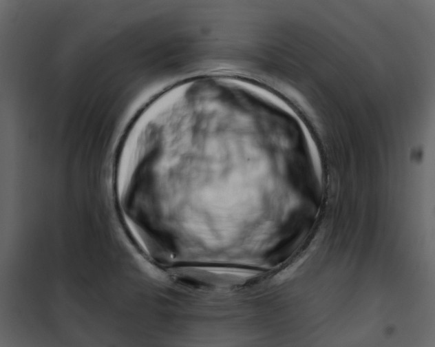 X0000101101424200807171901