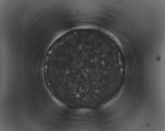 X0000101101425200807171901