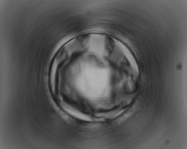 X0000101101426200807171901