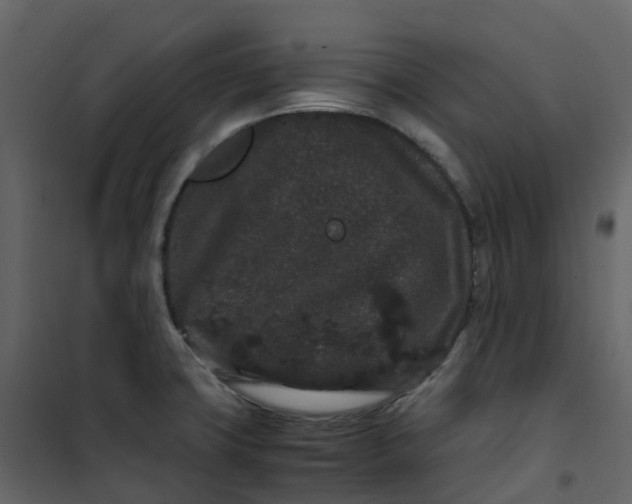 X0000101101427200807171901