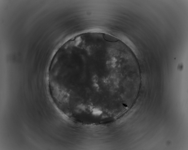 X0000101101428200807171901