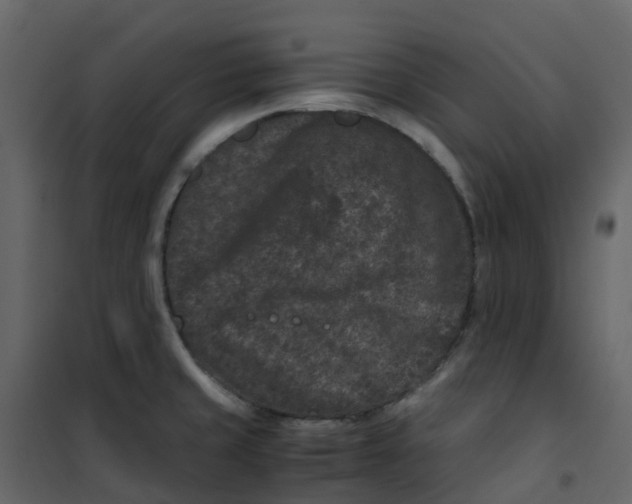 X0000101101429200807171901