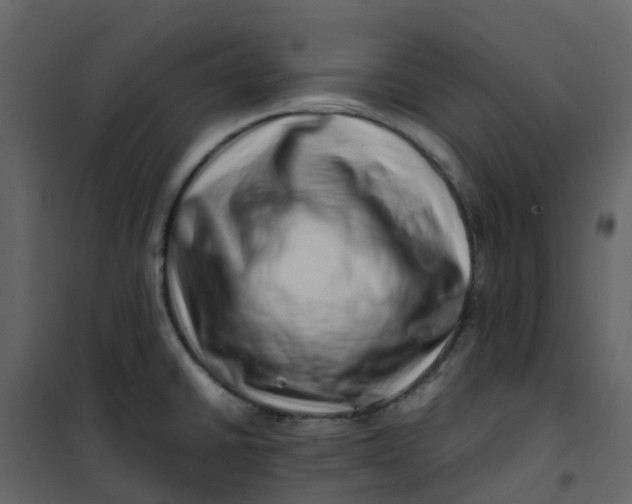 X0000101101430200807171901