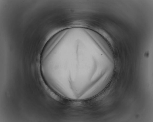 X0000101101431200807171901