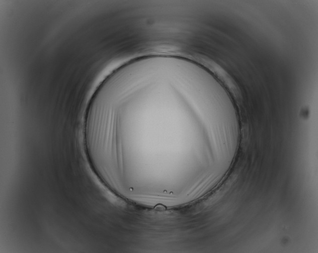 X0000101101432200807171901