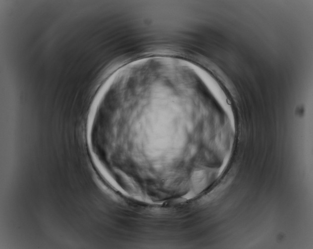 X0000101101433200807171901