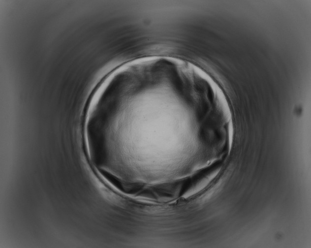 X0000101101434200807171901