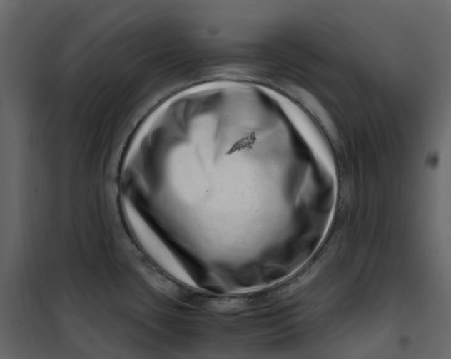 X0000101101435200807171901