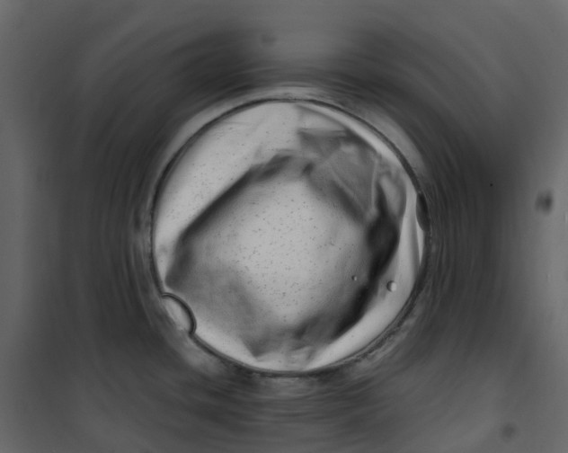 X0000101101436200807171901