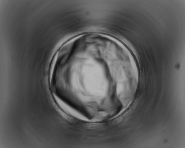 X0000101101437200807171901