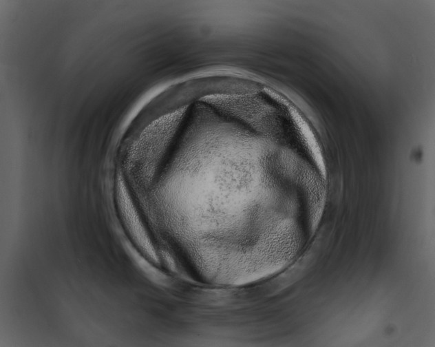 X0000101101438200807171901