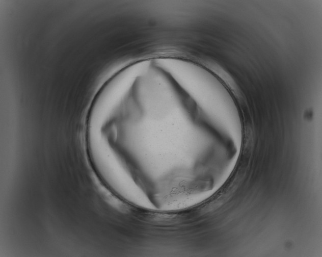 X0000101101439200807171901