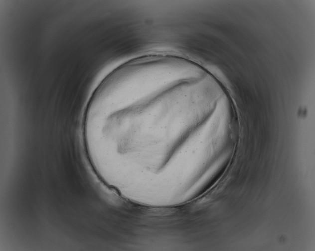 X0000101101440200807171901