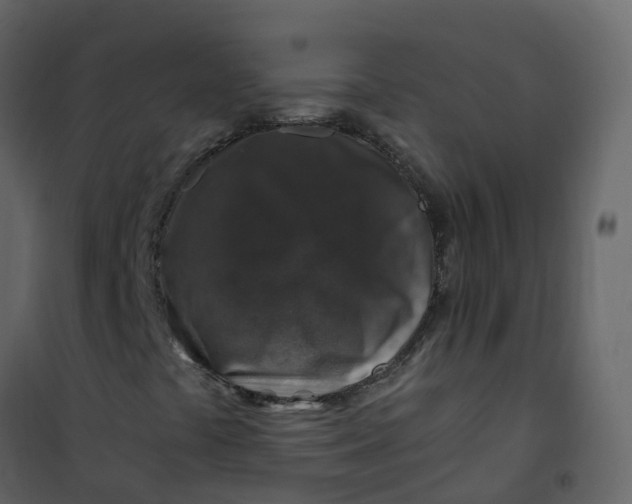 X0000101101441200807171901